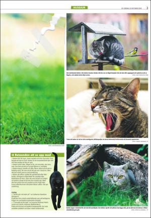 varmlandsfolkblad_del2-20161022_000_00_00_003.pdf