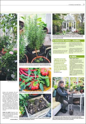 varmlandsfolkblad_del2-20161027_000_00_00_003.pdf