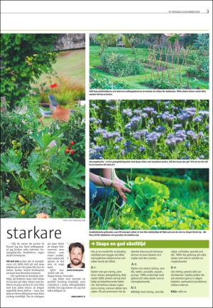 varmlandsfolkblad_del2-20161222_000_00_00_003.pdf
