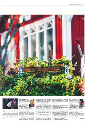 varmlandsfolkblad_del2-20170119_000_00_00_003.pdf