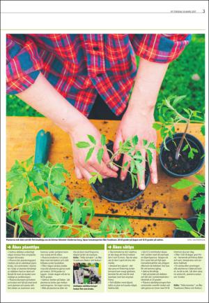varmlandsfolkblad_del2-20170316_000_00_00_003.pdf