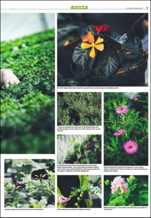 varmlandsfolkblad_naring-20120424_000_00_00_009.pdf