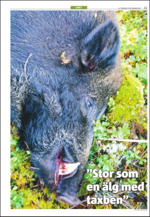 varmlandsfolkblad_naring-20130912_000_00_00_011.pdf