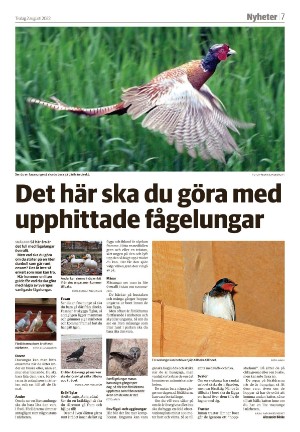 varnamonyheter-20220802_000_00_00_007.pdf