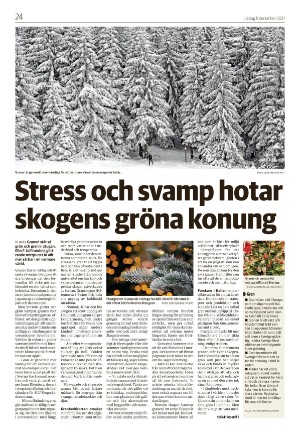 varnamonyheter_b-20211211_000_00_00_024.pdf