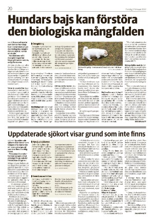 varnamonyheter_b-20220217_000_00_00_020.pdf