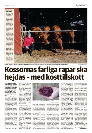 varnamonyheter_b-20220531_000_00_00_005.pdf