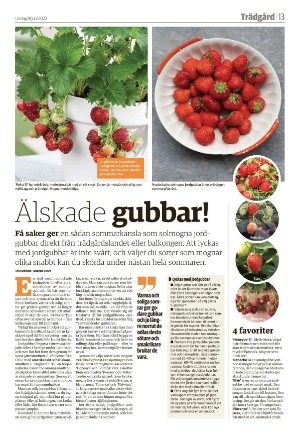 varnamonyheter_b-20220618_000_00_00_013.pdf