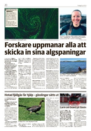 varnamonyheter_b-20220712_000_00_00_020.pdf