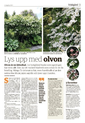 varnamonyheter_b-20220716_000_00_00_013.pdf