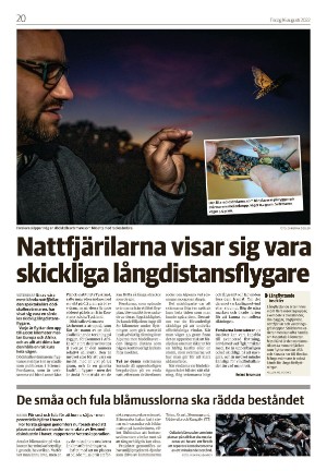 varnamonyheter_b-20220816_000_00_00_020.pdf