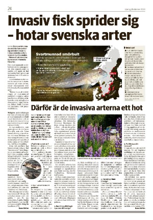 varnamonyheter_b-20231028_000_00_00_024.pdf