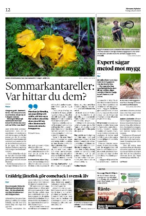 varnamonyheter_b-20240618_000_00_00_012.pdf
