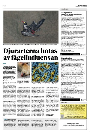 varnamonyheter_b-20250111_000_00_00_010.pdf