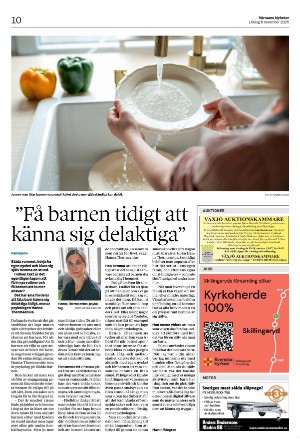 varnamonyheter_b-20251108_000_00_00_010.pdf