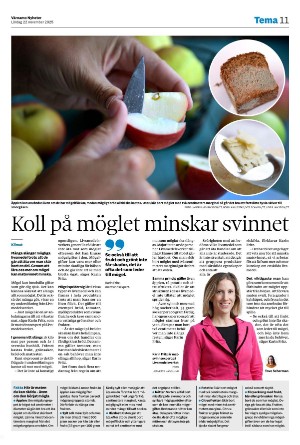 varnamonyheter_b-20251122_000_00_00_011.pdf
