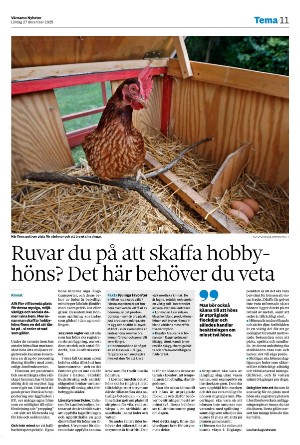 varnamonyheter_b-20251227_000_00_00_011.pdf