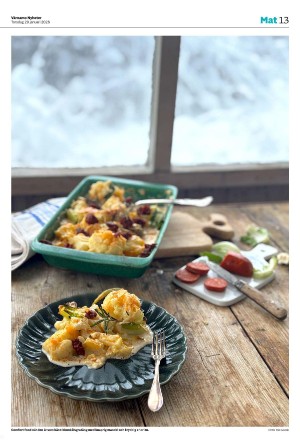 varnamonyheter_b-20260129_000_00_00_013.pdf