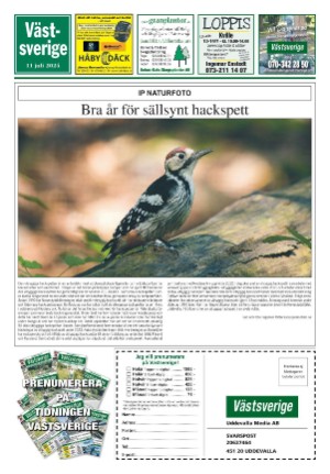 vastsverige-20240711_028_00_00_024.pdf