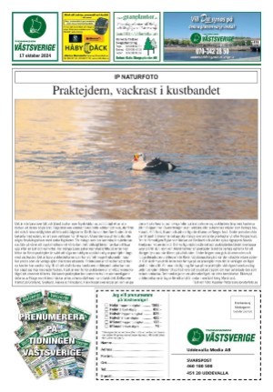 vastsverige-20241017_042_00_00_024.pdf