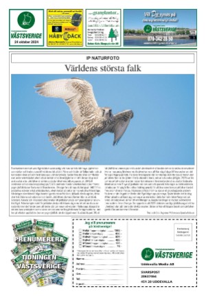 vastsverige-20241024_043_00_00_024.pdf