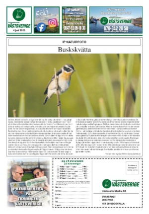 vastsverige-20250604_023_00_00_032.pdf