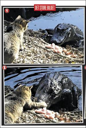 verdensgang-20120125_000_00_00_026.pdf