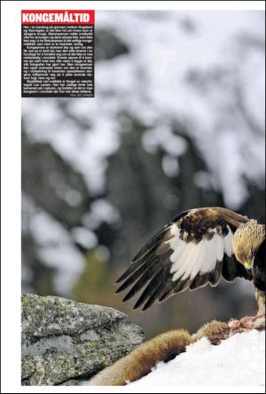 verdensgang-20120312_000_00_00_022.pdf