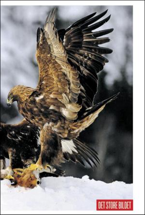 verdensgang-20120312_000_00_00_023.pdf