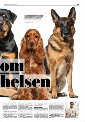 verdensgang-20191120_000_00_00_021.pdf