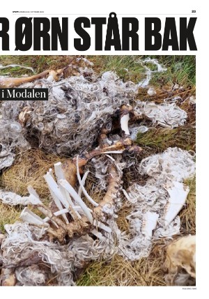 verdensgang-20231002_000_00_00_023.pdf