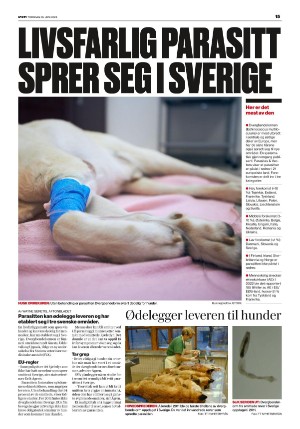 verdensgang-20250605_000_00_00_015.pdf