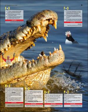 verdensgang_bilag-20200729_000_00_00_009.pdf