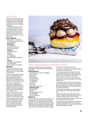 verdensgang_bilag-20210325_000_00_00_023.pdf