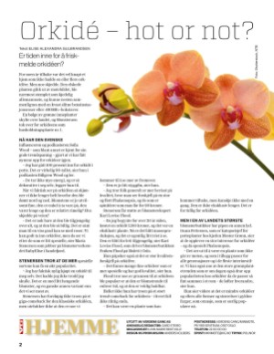 verdensgang_bilag-20210406_000_00_00_002.pdf