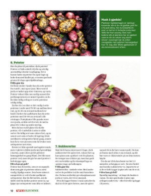 verdensgang_bilag-20210519_000_00_00_012.pdf
