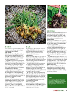 verdensgang_bilag-20210519_000_00_00_013.pdf