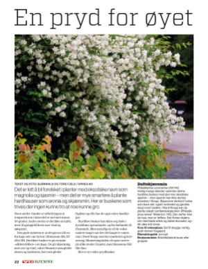 verdensgang_bilag-20210519_000_00_00_022.pdf