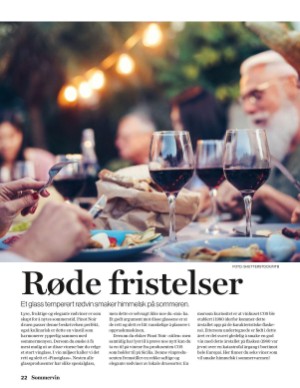 verdensgang_bilag-20210616_000_00_00_022.pdf