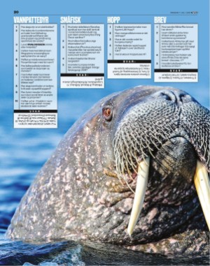 verdensgang_bilag-20210707_000_00_00_020.pdf