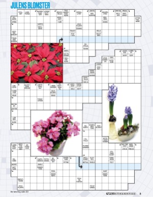 verdensgang_bilag-20211229_000_00_00_003.pdf
