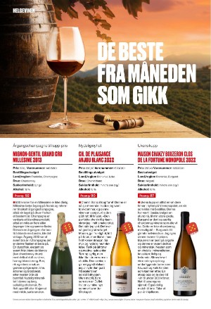 verdensgang_fredag-20240607_000_00_00_016.pdf