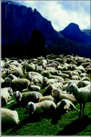 verdensgang_helg-20061209_000_00_00_056.pdf