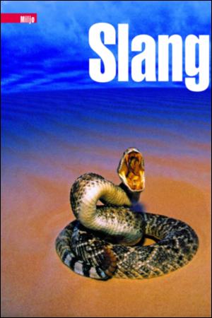 verdensgang_helg-20070106_000_00_00_052.pdf