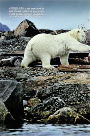 verdensgang_helg-20101106_000_00_00_040.pdf