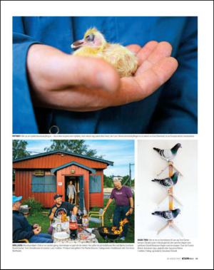 verdensgang_helg-20130824_000_00_00_049.pdf