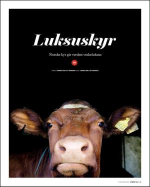 verdensgang_helg-20131123_000_00_00_063.pdf