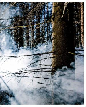 verdensgang_helg-20140405_000_00_00_041.pdf