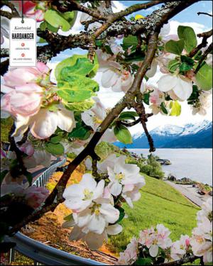 verdensgang_helg-20150424_000_00_00_010.pdf