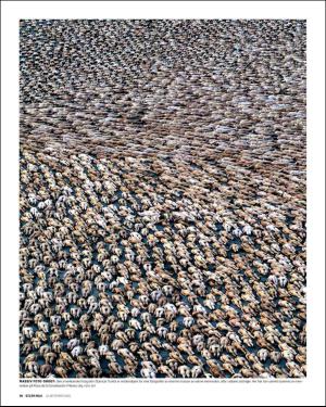 verdensgang_helg-20150912_000_00_00_036.pdf